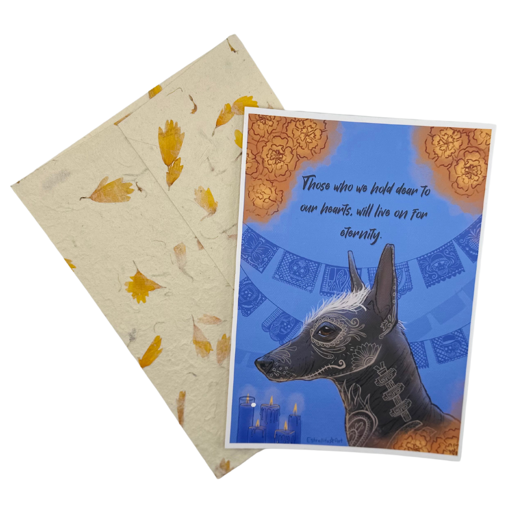 Xolo Card Chocolate - Casa de Chocolates